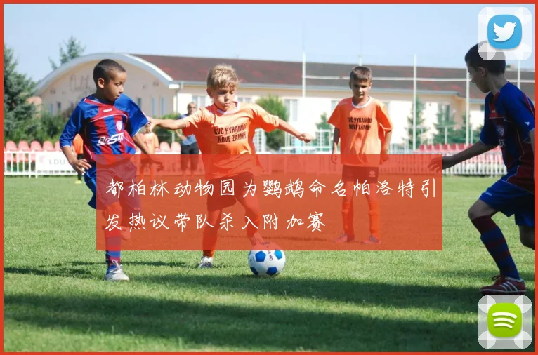 都柏林动物园为鹦鹉命名帕洛特引发热议带队杀入附加赛